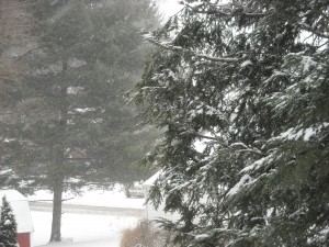 Snow storm on January 25, 2014, at Greensburg, PA