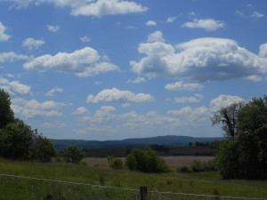 A section of the Chestnut Ridge near Derry, PA where many Bigfoot encounters have been reported.