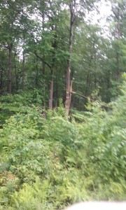 The heavily wooded areas around Farmington, PA. Many Bigfoot encounters have been reported from throughout Fayette County in past years. 