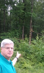 A possible Bigfoot track was found on the evening of June 1, 2019, not far from the campsite event. The next day while looking over the area Stan noticed some odd tree damage to a healthy tree. 