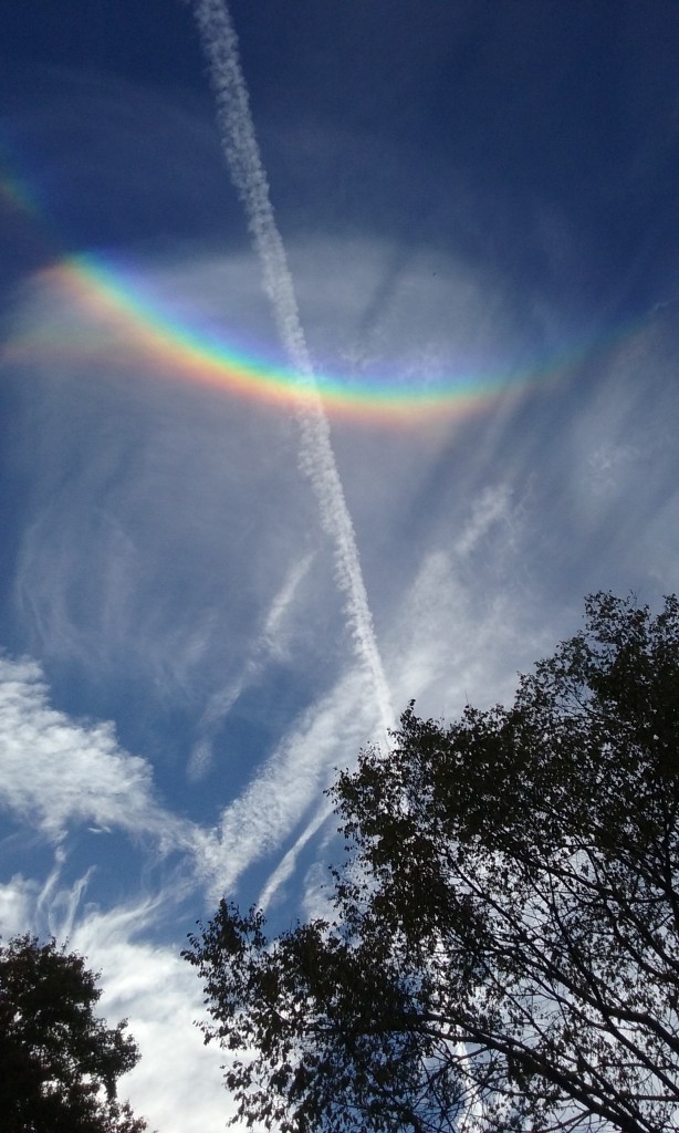Rainbow-Like Phenomena  Wooddale, PA  October 19, 2019 (Copyright 2019 Stan Gordon)